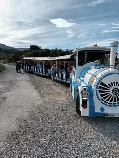 Petit train Touristique