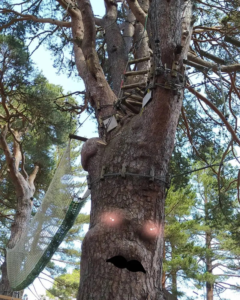 Refuge de l’Ours - Parcours aventure - Accrobranche
