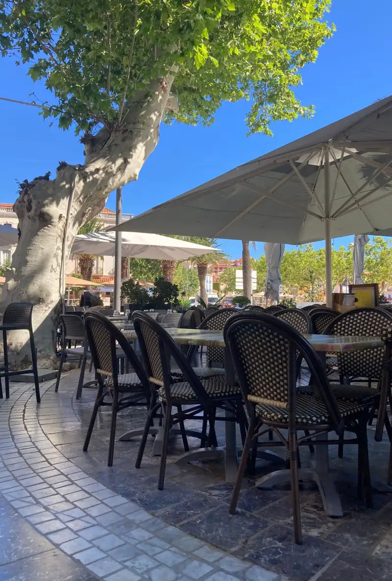Maximo café