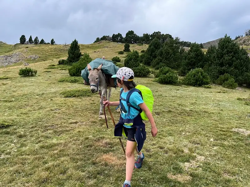 Les Anes du Tres Estelles