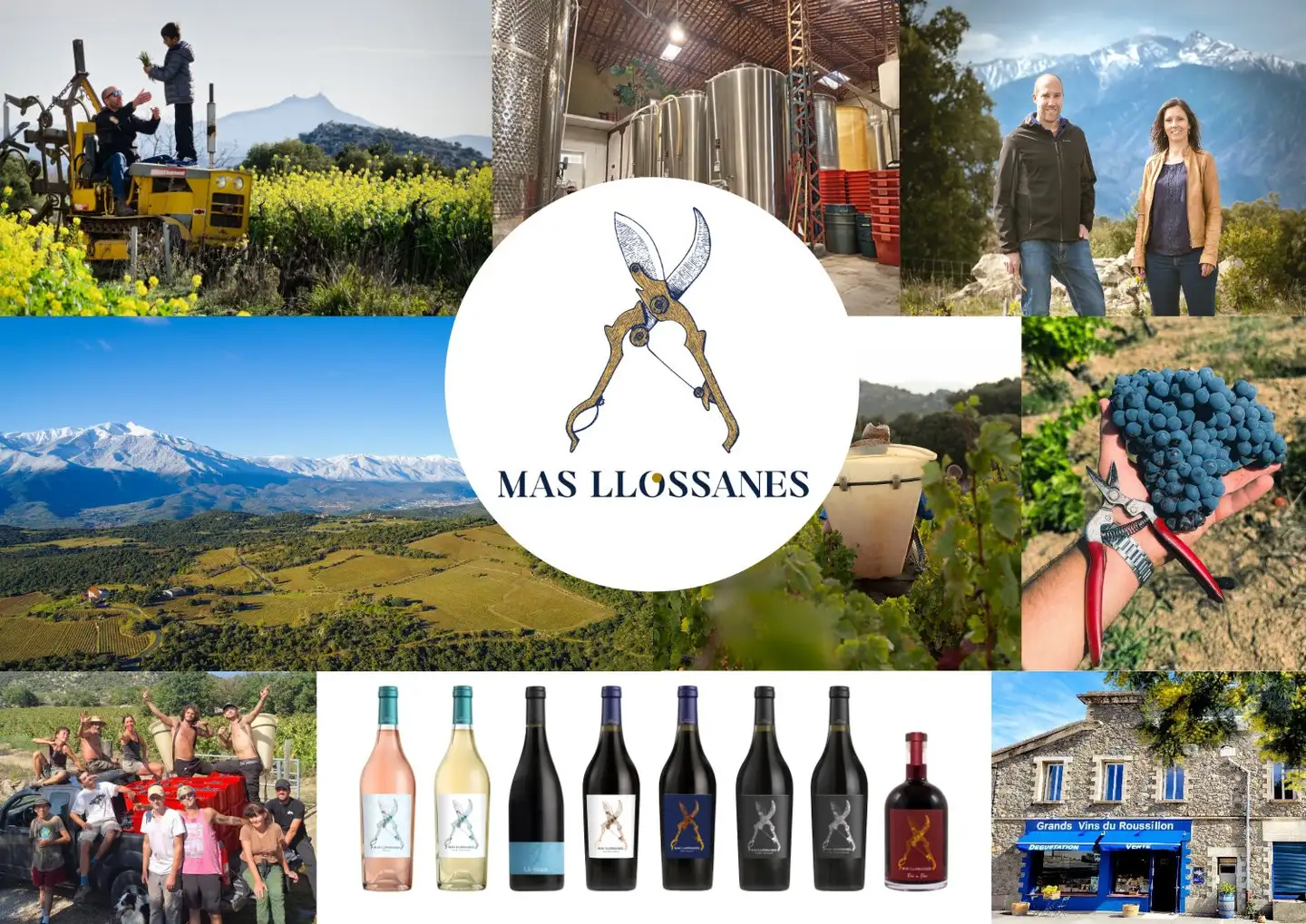Mas Llossanes