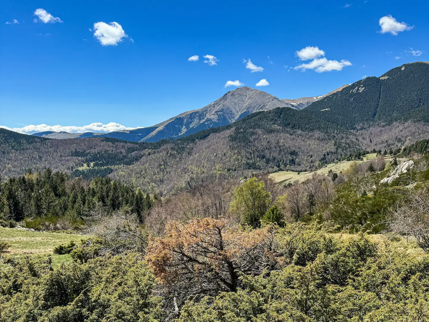 Réserve naturelle de Prats-de-Mollo-la-Preste