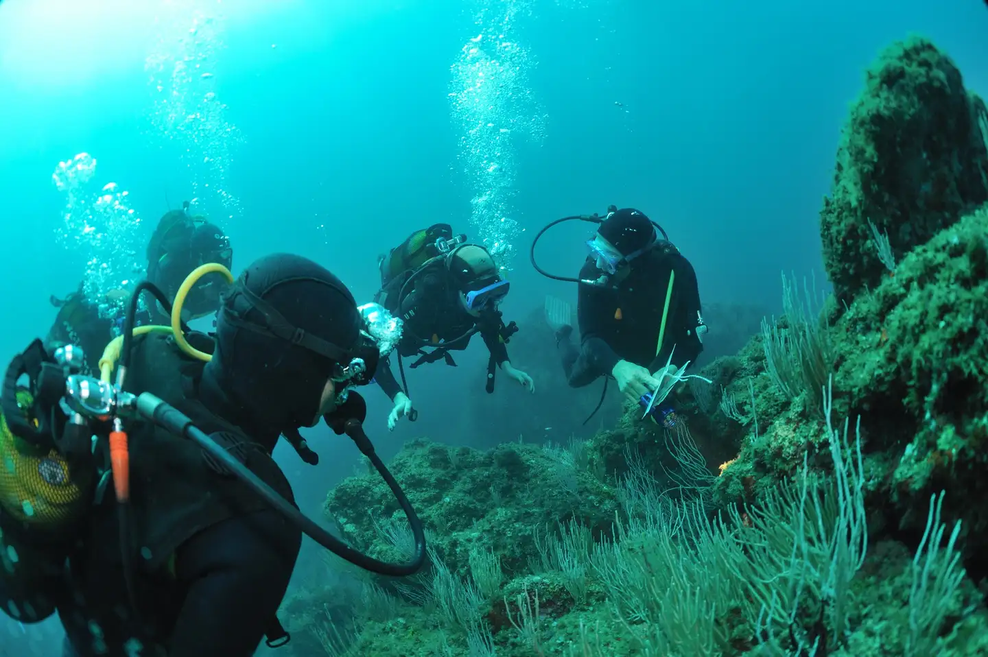 Centre de plongée Aquaplanet