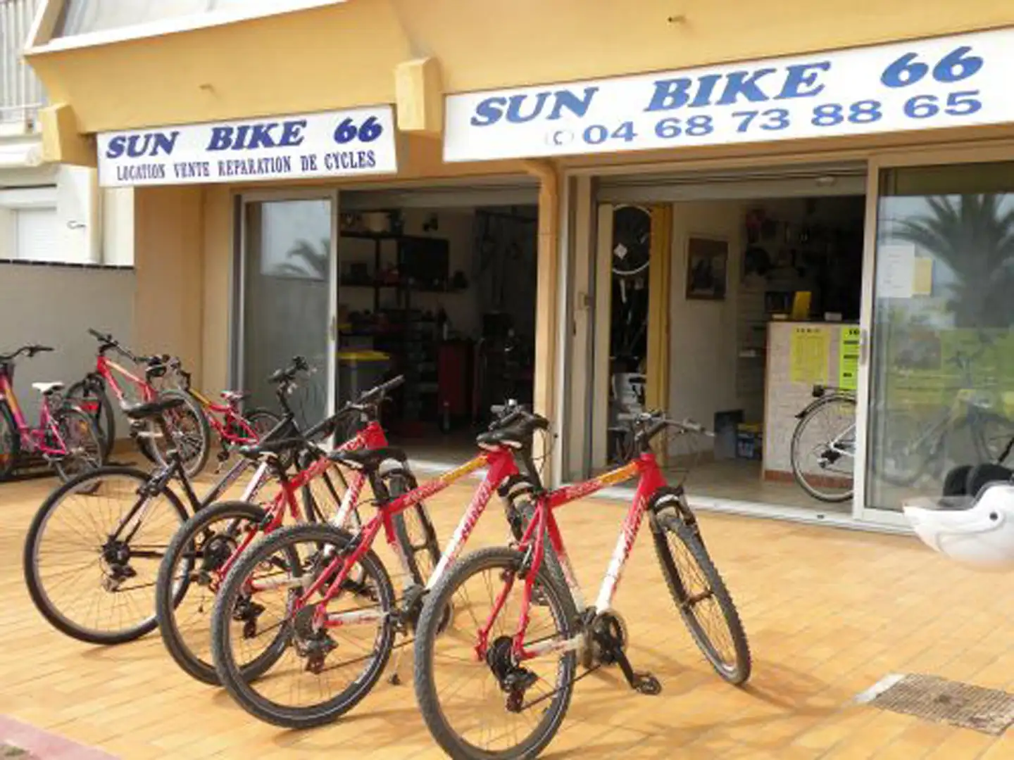 Sun Bike 66