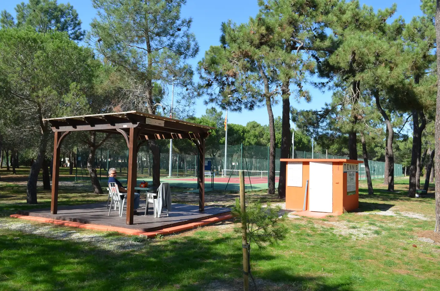 Forest Pin’S tennis