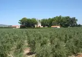 Le Moulin Saint-Pierre