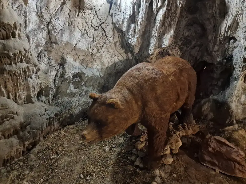 Cova Bastera - Dinopedia Experience