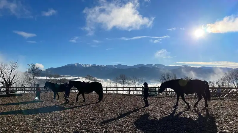 Nevada Mountain Paddock