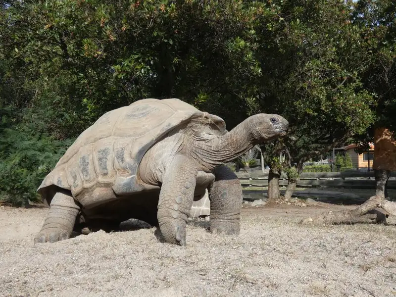 La vallée des Tortues