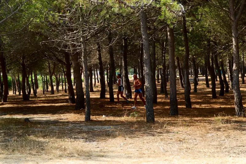 Parcours Forestier et de santé