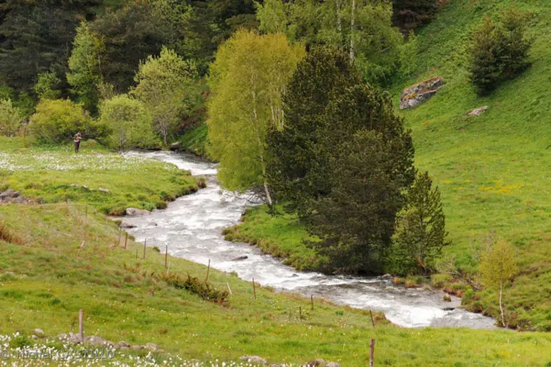 La vallée du Galbe