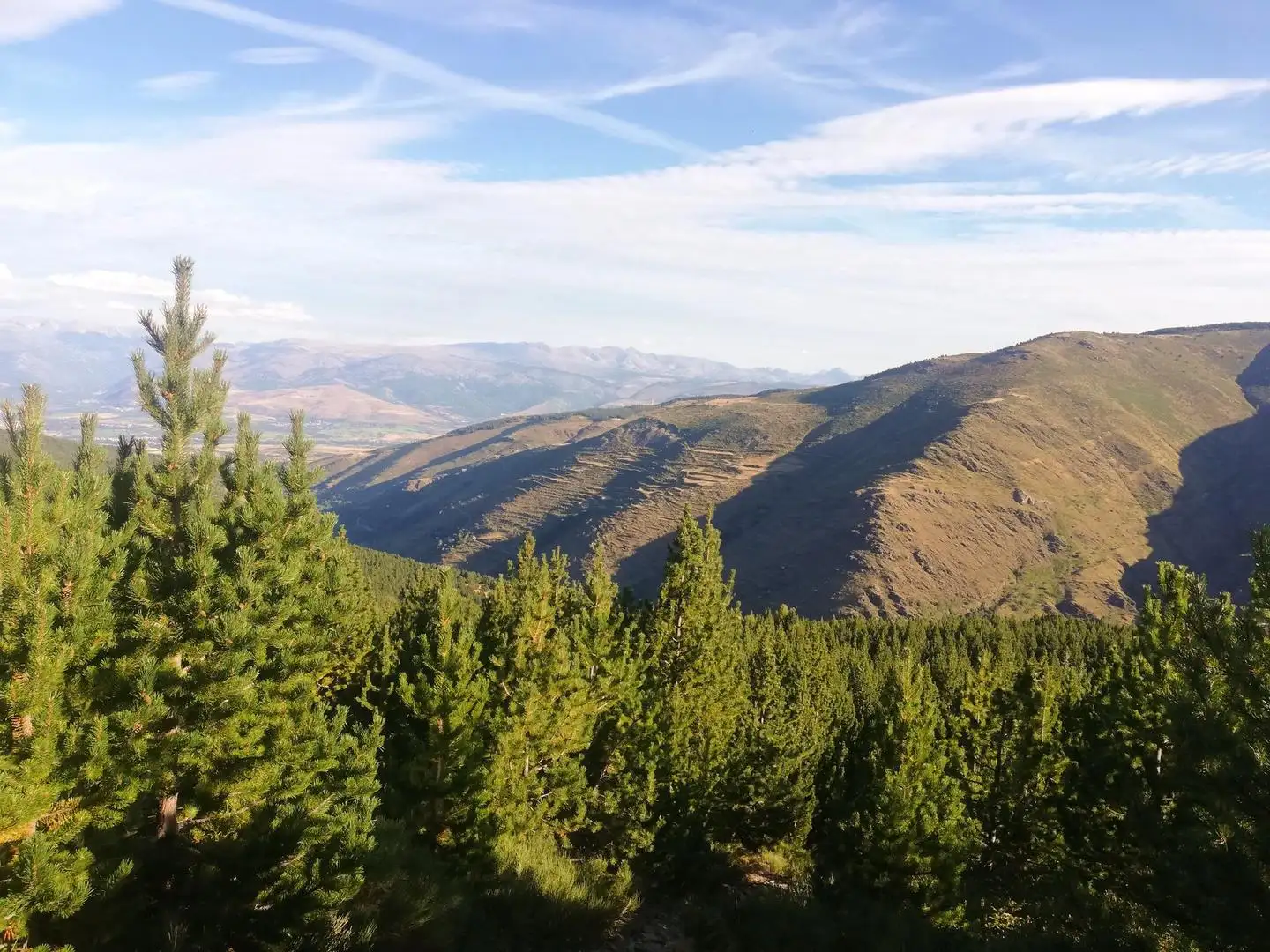 Vallée de Valcebollère