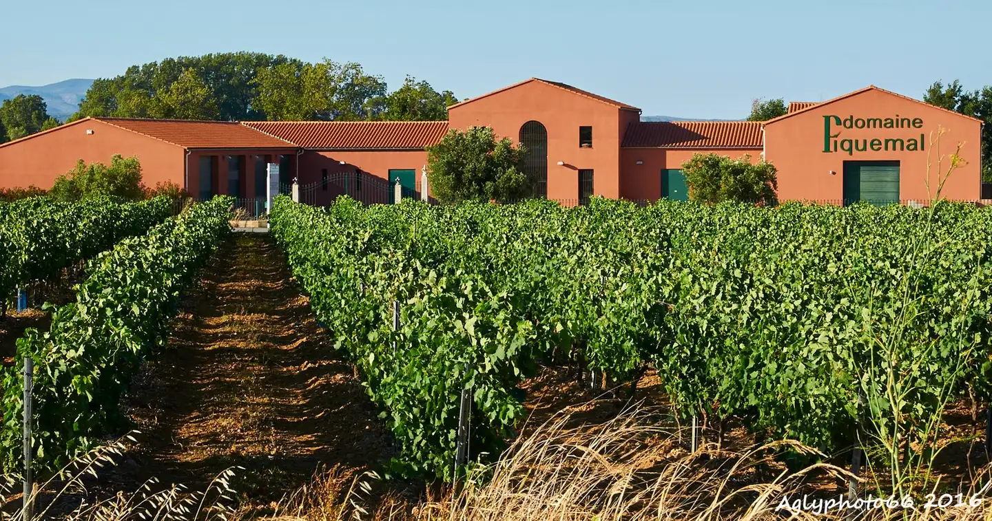 Domaine Piquemal