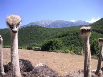 Mas de la Guardia