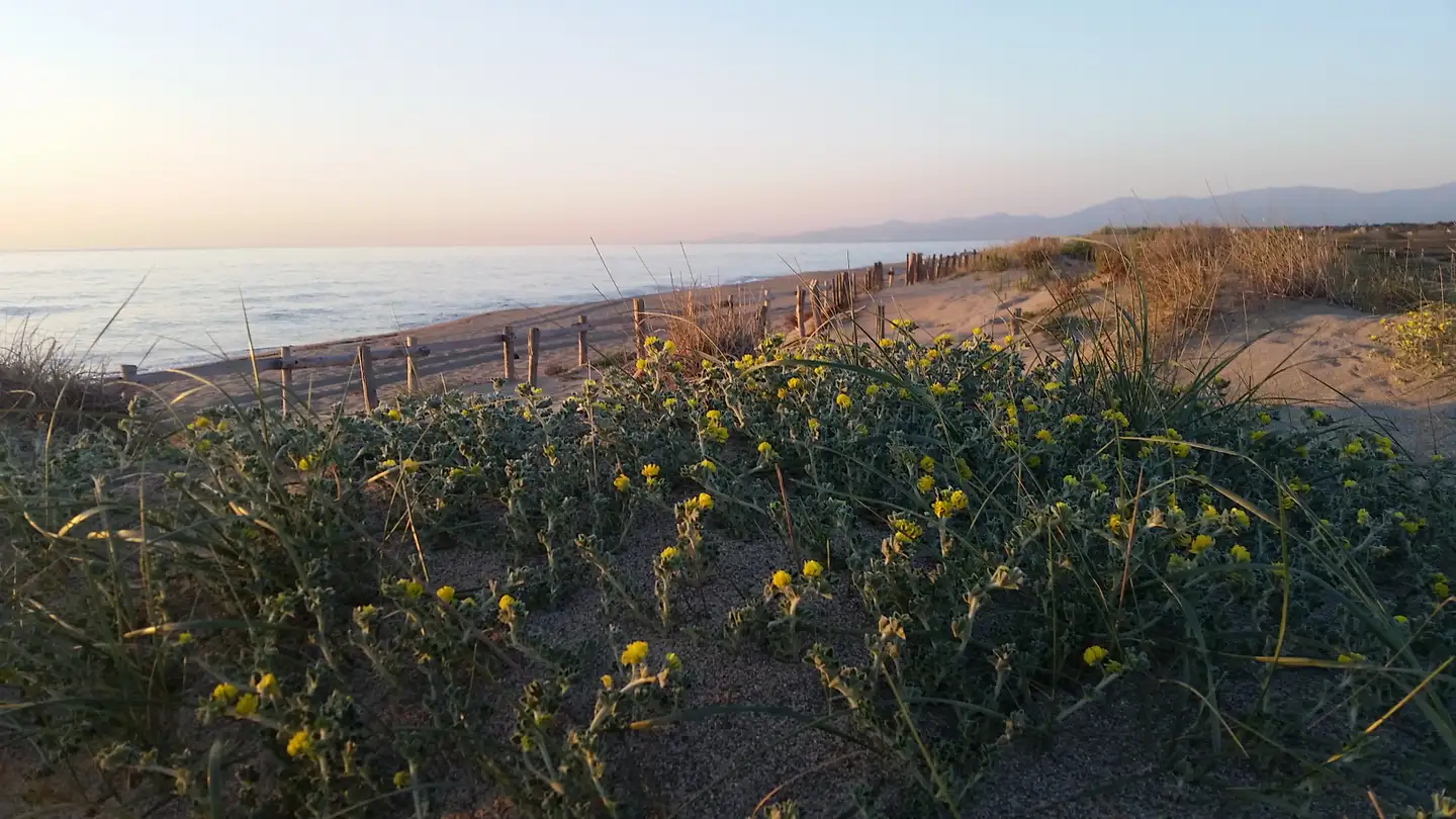 Plage Nord