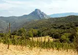 Domaine Laguerre les Planels