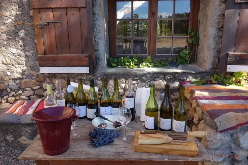 Domaine Vaquer