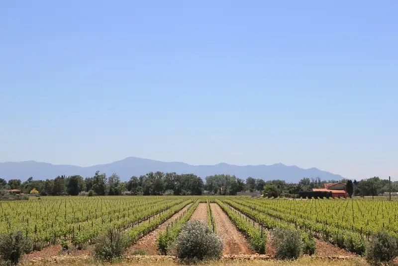 Domaine Riere Cadene