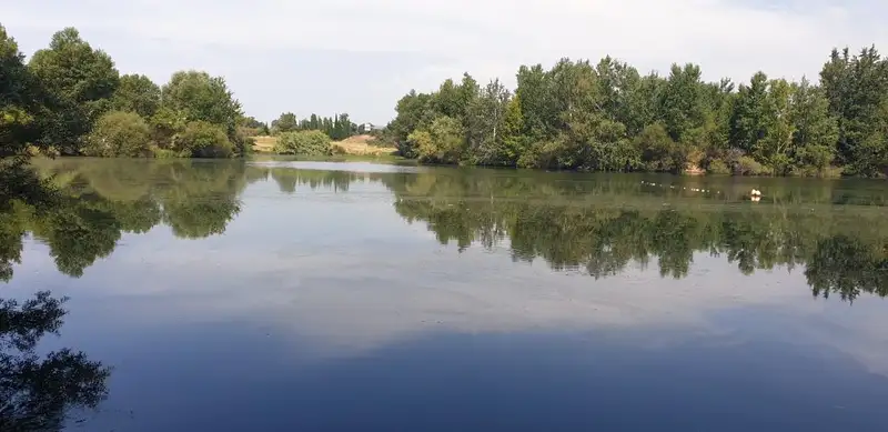 Le lac des Bouzigues