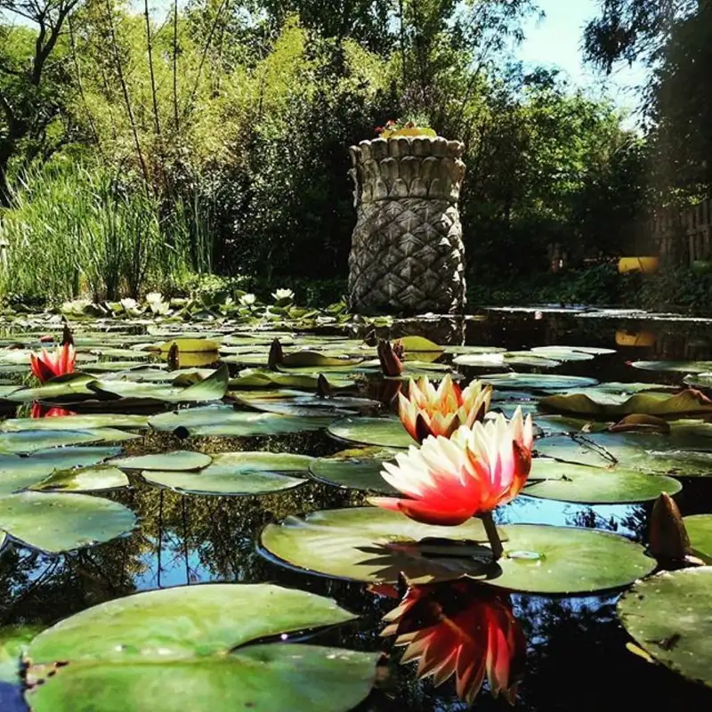 Jardin Exotique