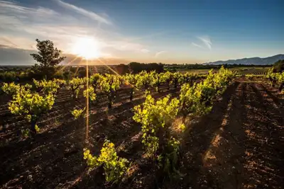 Domaine Sanac