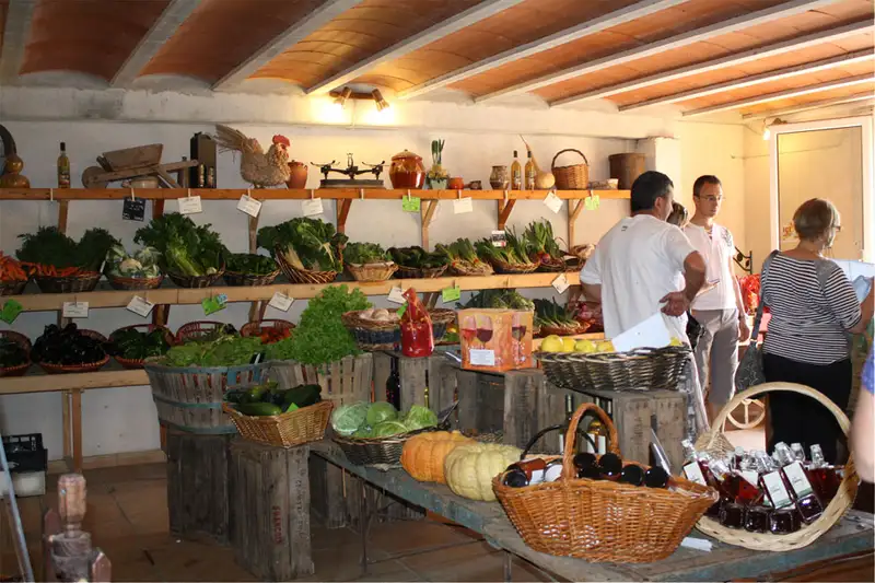 Aux Saveurs Paysannes - Domaine Ey