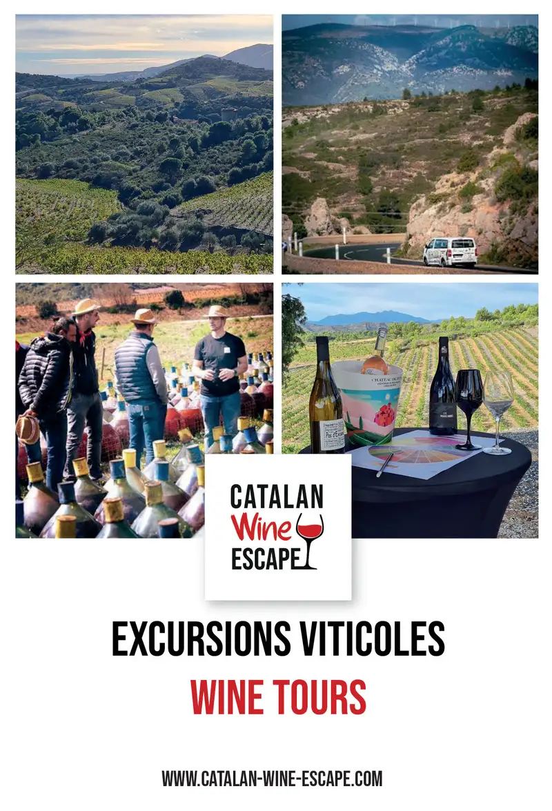 Catalan Wine Escape