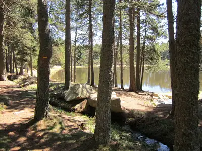 L'Etang du Ticou (PR61)