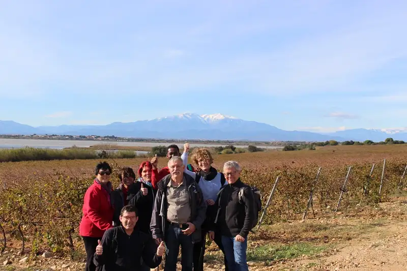 Vinohrando
