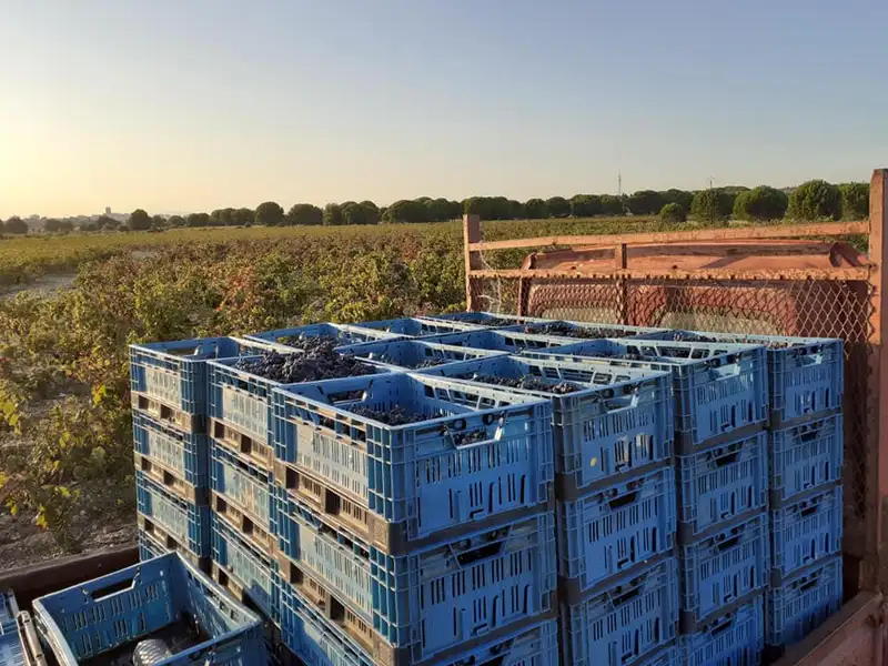 Le Clos d’Elpis