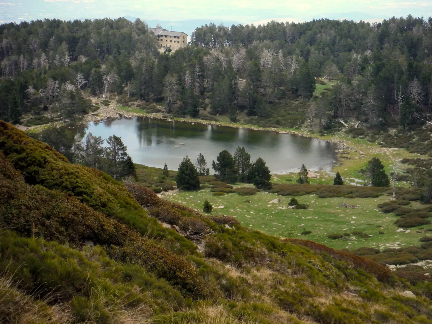 Forêt du Canigou