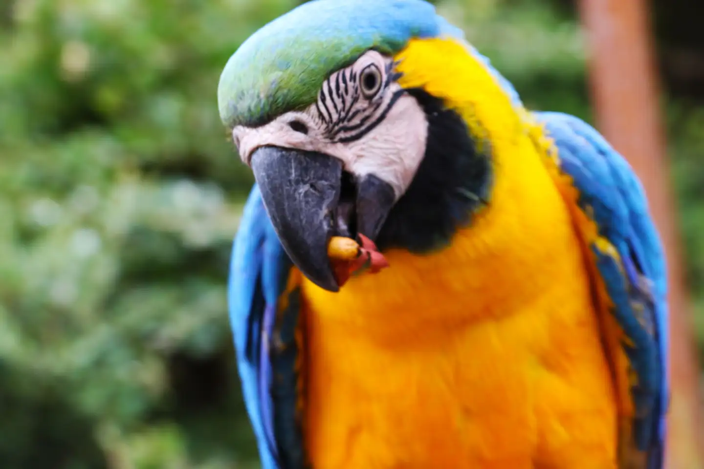 Parc Animalier