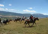 Equi Libre